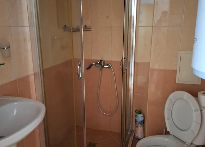 Salena Slăntjev Brjag